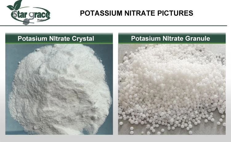 1 patassium nitrate crystal granule 1 patassium nitrate crystal granule