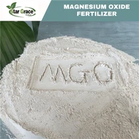 Magnesiwm Ocsid Fert Gradd