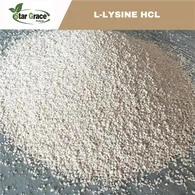 Gradd Bwydo HCL L-Lysine