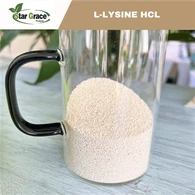 Gradd Porthiant Lysin