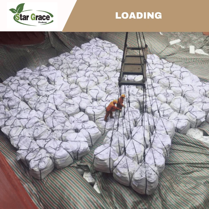 L-Lysine for Poultry