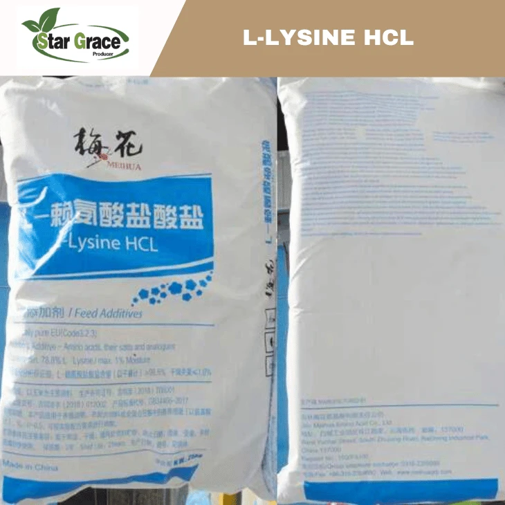 L-Lysine for Poultry