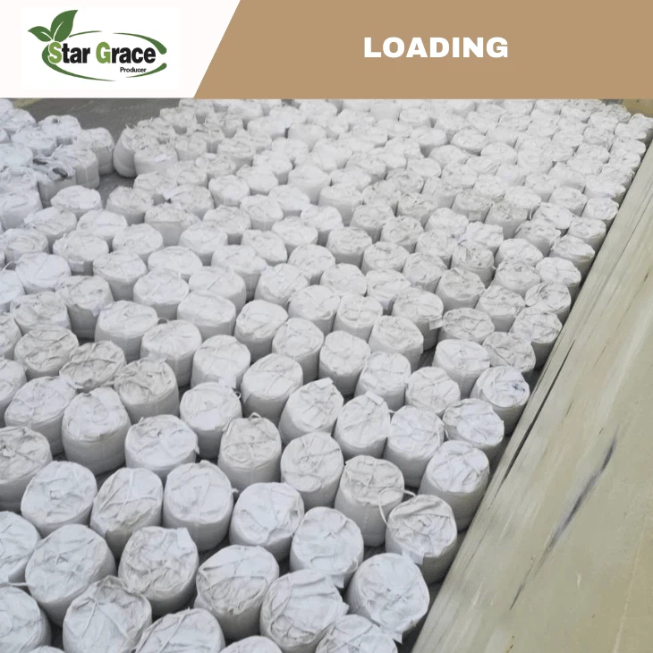 L-Lysine Hydrochloride 98.5%