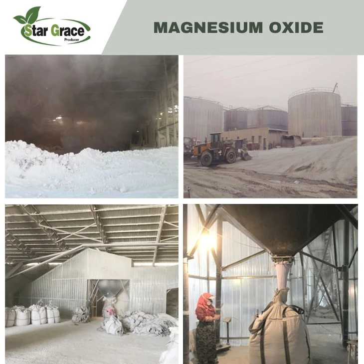 Magnesium Oxide in Feed in Germany