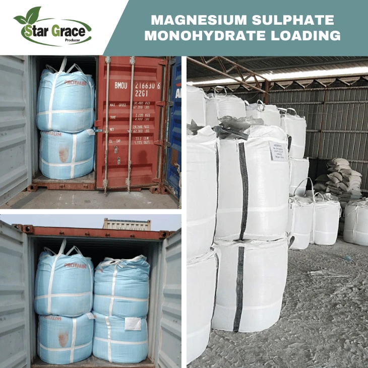 Magnesium Sulfate Monohydrate 98%