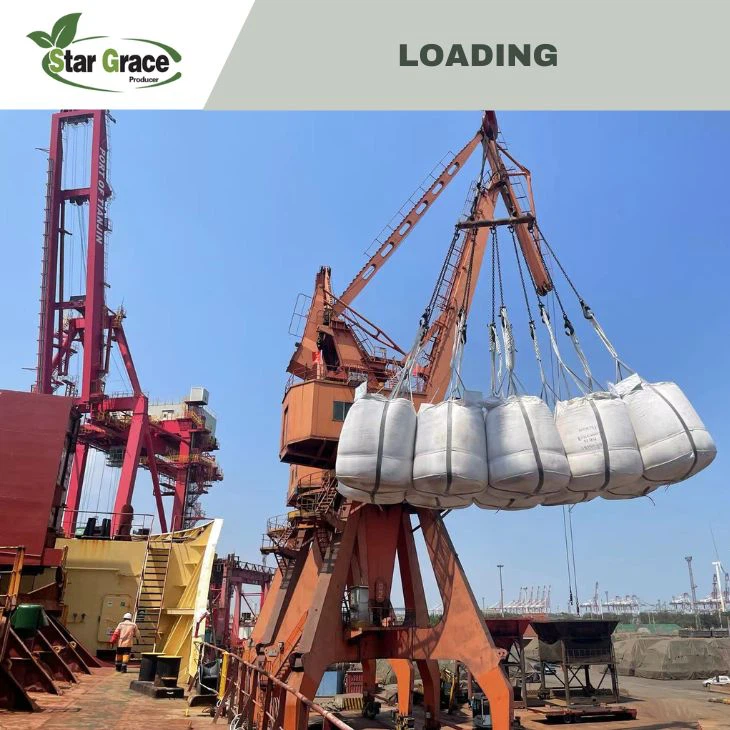 Natural Caustic Calcined Magnesia Powder