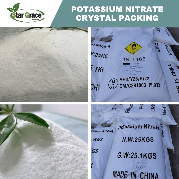 Potassium Nitrate and Water